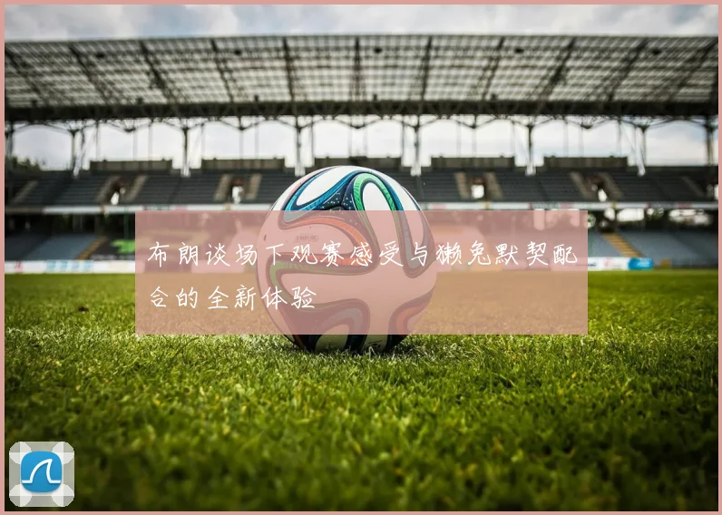 布朗谈场下观赛感受与獭兔默契配合的全新体验