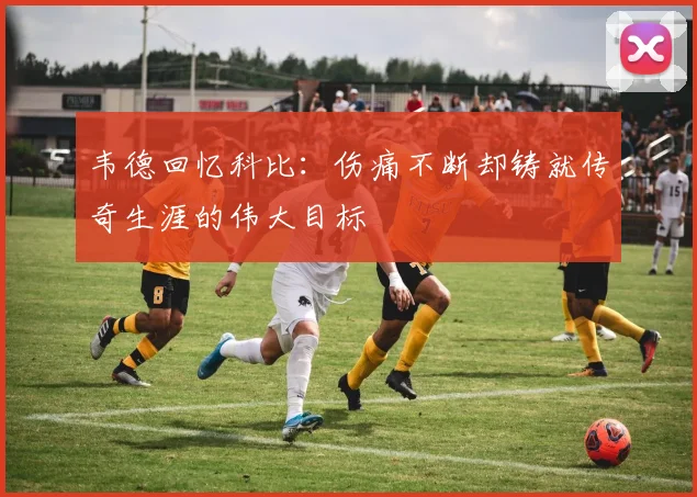 韦德回忆科比：伤痛不断却铸就传奇生涯的伟大目标