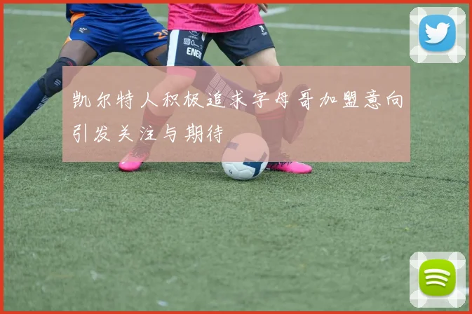 凯尔特人积极追求字母哥加盟意向引发关注与期待