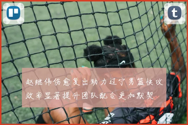 赵继伟伤愈复出助力辽宁男篮快攻效率显著提升团队配合更加默契